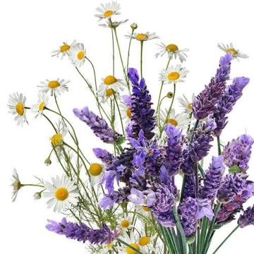 Lavender Chamomile