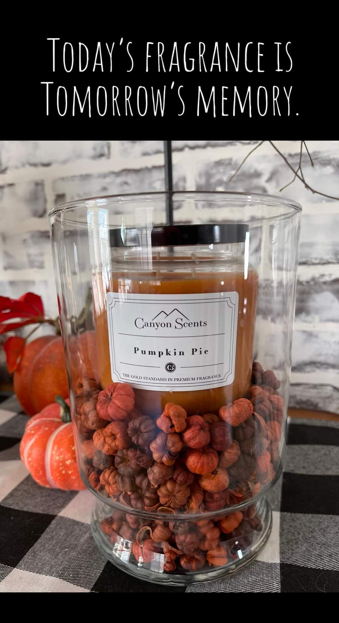 Gold Canyon's Canyon Scents Candles Gold Canyon's Canyon Scents Candles