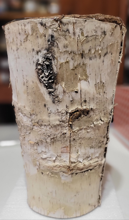 Birch Bark Vase