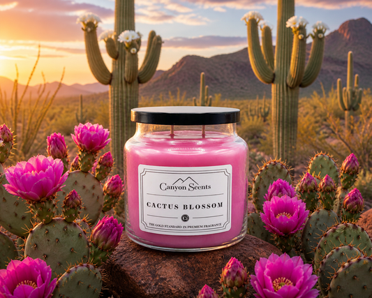 Cactus Blossom
