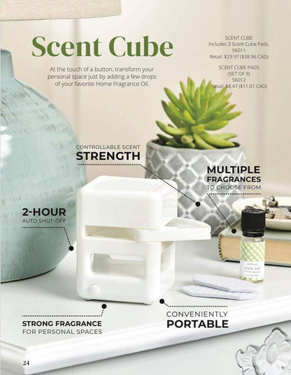 Gold Canyon Scent Cube & 1 Black Rain Home Fragrance Oil